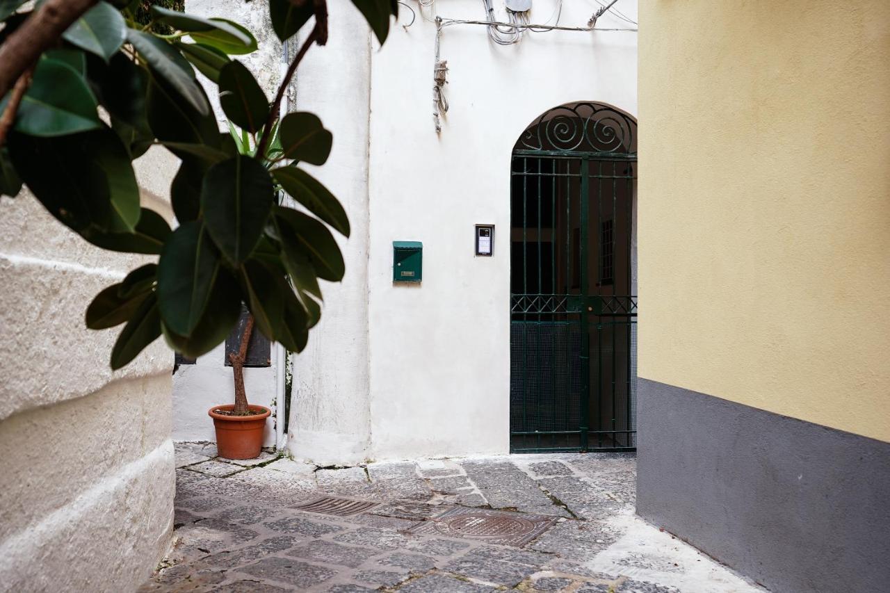 Casa Don Plinio Center